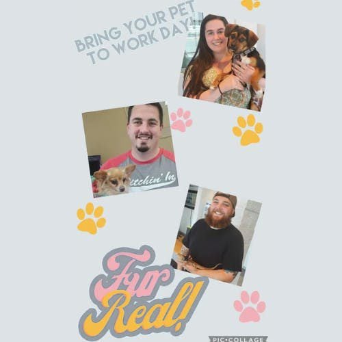 Collage: 3 people with their pets, 'Bring Your Pet To Work Day!'' and 'Fur Real!' text with paw prints.